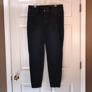 Lane Bryant T3 skinny jeans 16 regular